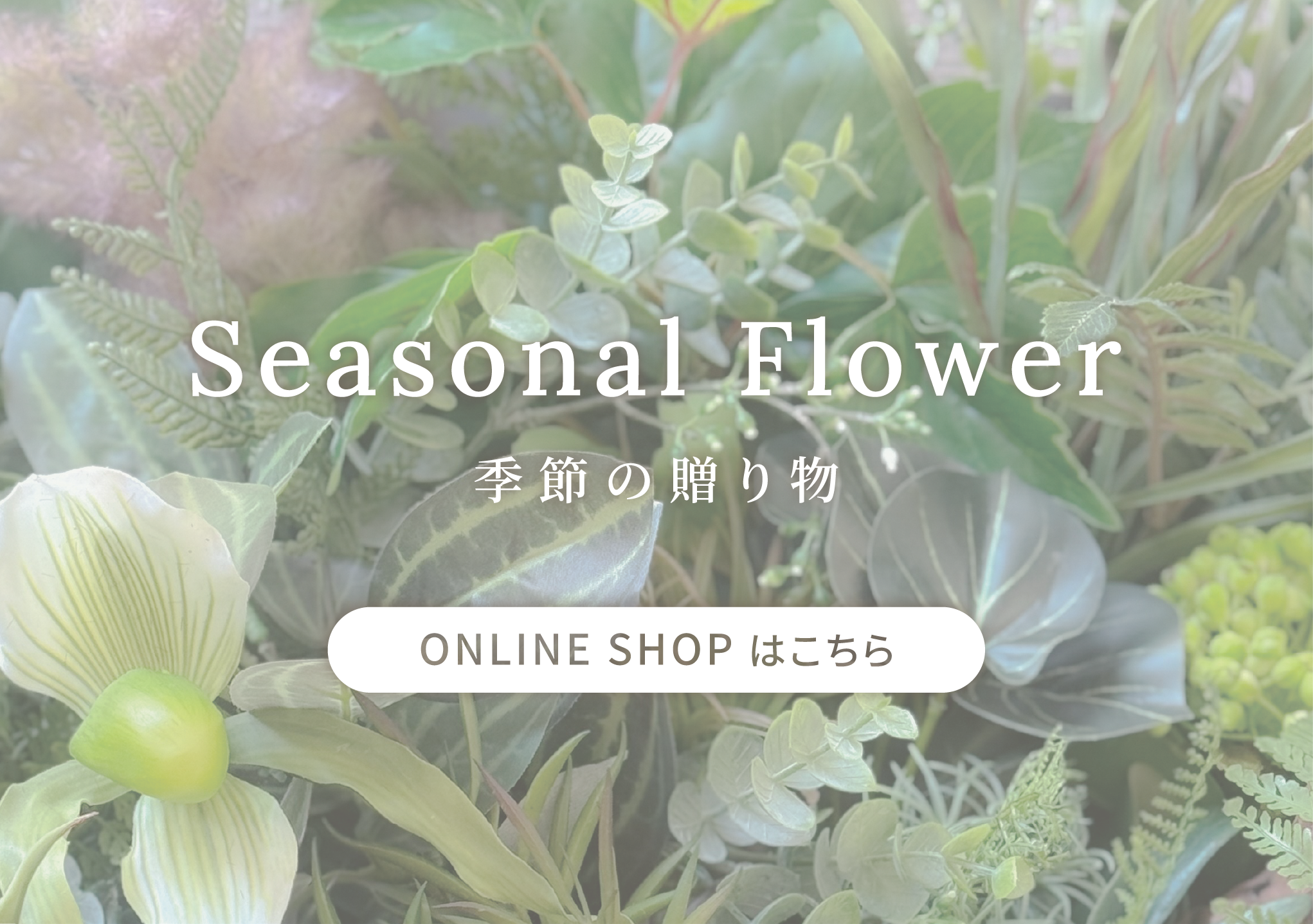 ONLINE SHOP