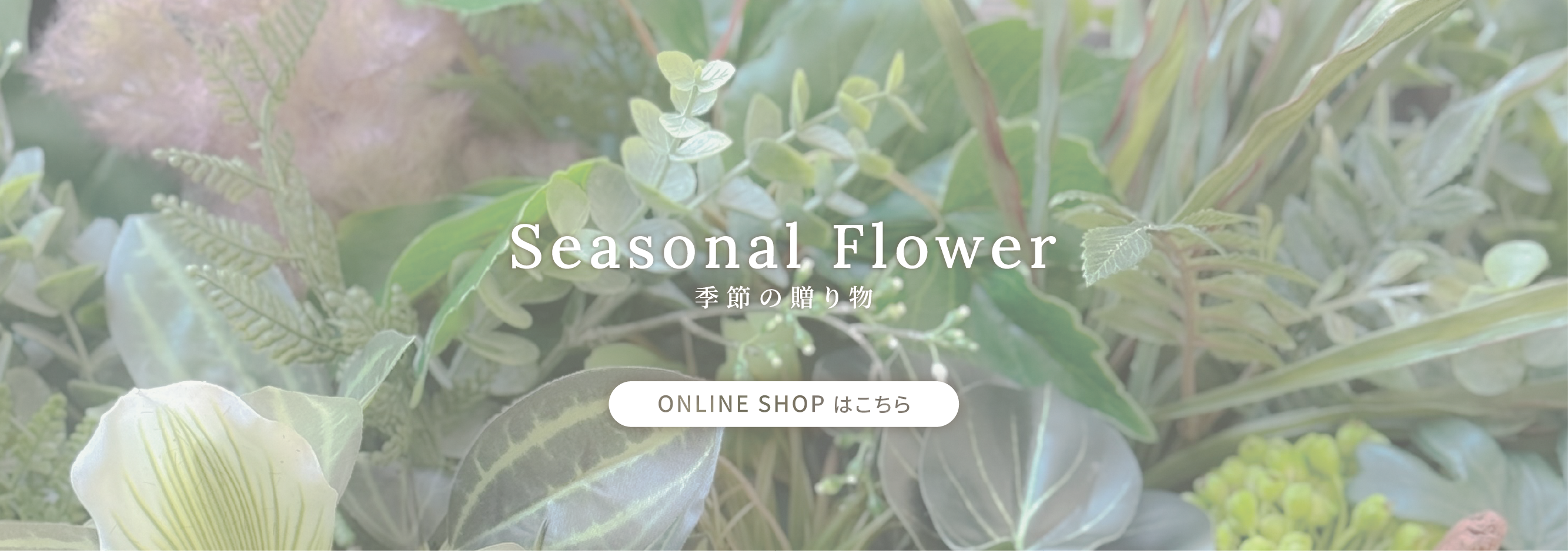 ONLINE SHOP